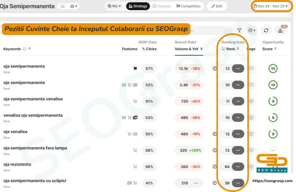 Client SEO Grasp Inainte de Colaborare - SEO Monitor